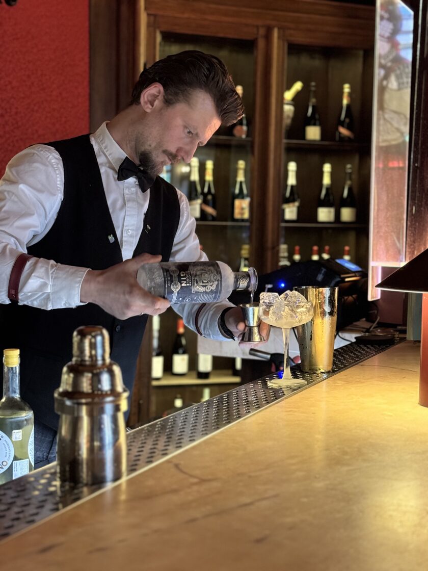 Benjamina-House-Bar1.jpg